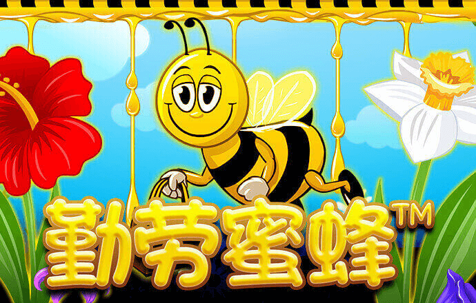 大众彩票软件官方正版下载
